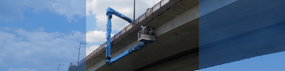 業務紹介・実績